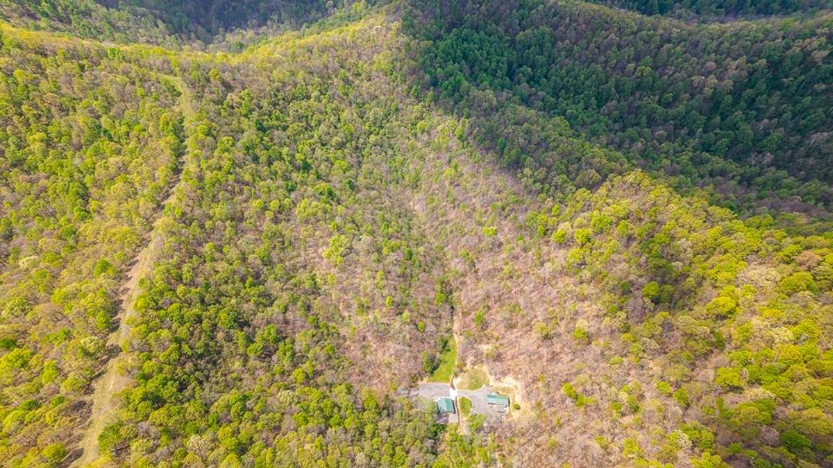 Image for SOLD $385,000 - Impressive Cabin with Guest House on 46 Acres in Harrison County