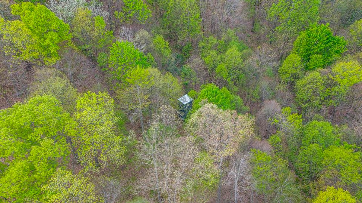 Image for SOLD $385,000 - Impressive Cabin with Guest House on 46 Acres in Harrison County