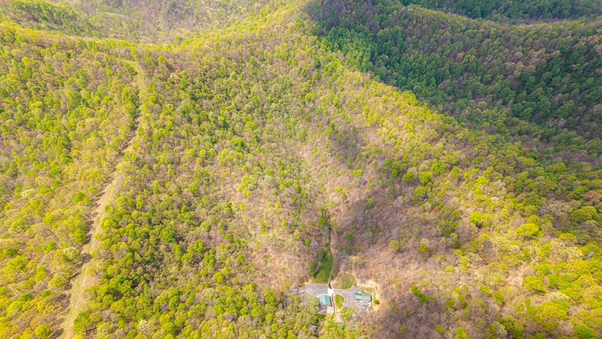 Image for SOLD $385,000 - Impressive Cabin with Guest House on 46 Acres in Harrison County
