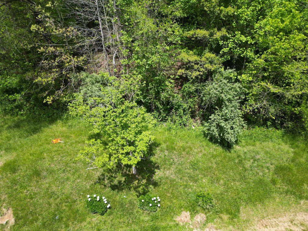 Image for SOLD $38,500 - Spacious Project Home on Half an Acre in Wayne County
