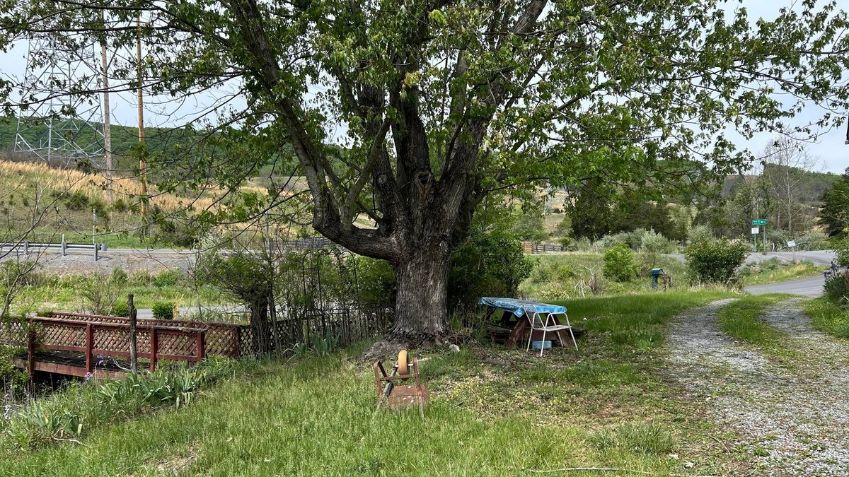 Image for SOLD $88,000 - Rustic Mountain Cottage on Nearly 2.5 Acres in Petersburg Selling to the Highest Bidder