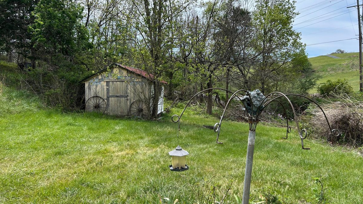 Image for SOLD $88,000 - Rustic Mountain Cottage on Nearly 2.5 Acres in Petersburg Selling to the Highest Bidder