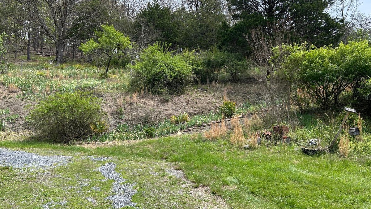 Image for SOLD $88,000 - Rustic Mountain Cottage on Nearly 2.5 Acres in Petersburg Selling to the Highest Bidder