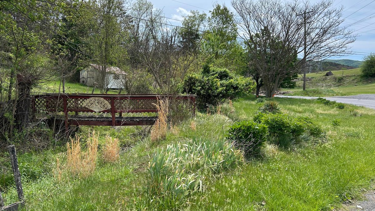 Image for SOLD $88,000 - Rustic Mountain Cottage on Nearly 2.5 Acres in Petersburg Selling to the Highest Bidder