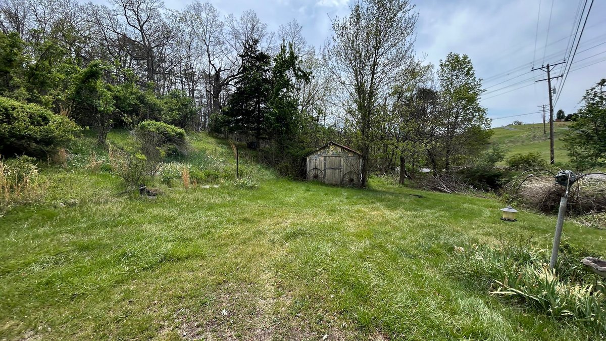 Image for SOLD $88,000 - Rustic Mountain Cottage on Nearly 2.5 Acres in Petersburg Selling to the Highest Bidder