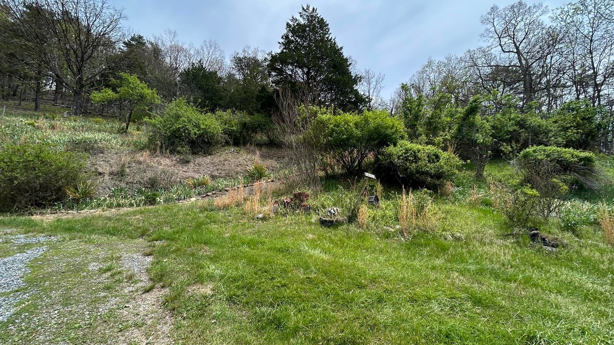 Image for SOLD $88,000 - Rustic Mountain Cottage on Nearly 2.5 Acres in Petersburg Selling to the Highest Bidder