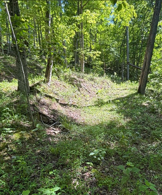 Image for SOLD $23,375 - 19 Recreational Acres near Charleston with Streams, Trails, & Wildlife
