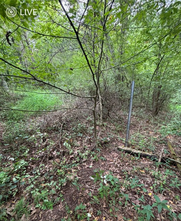 Image for SOLD $23,375 - 19 Recreational Acres near Charleston with Streams, Trails, & Wildlife