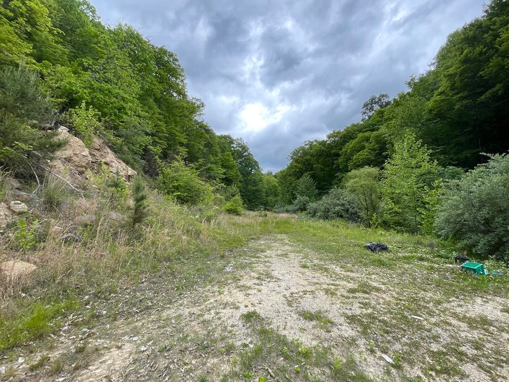 Image for SOLD $50,600 - 3 Bedroom Doublewide on 2 Acres in Inez Selling to the Highest Bidder