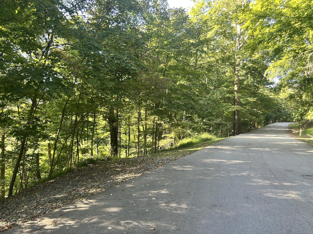 Image for 2.26 Acre Lot in the Hickory Ridge Subdivision Selling to the Highest Bidder