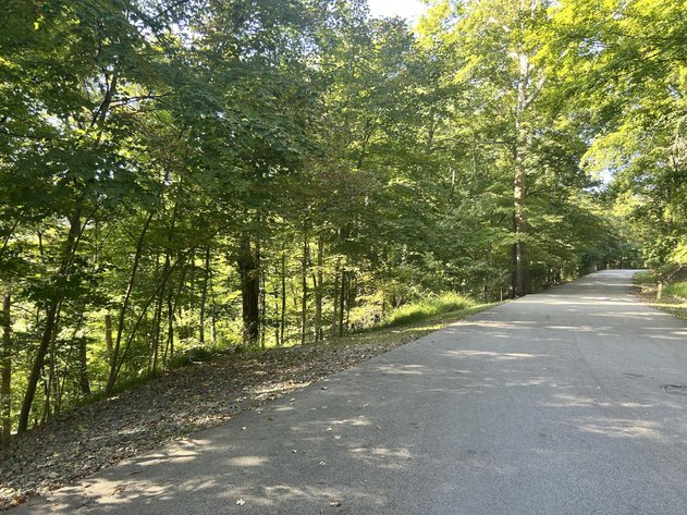 Image for 2.26 Acre Lot in the Hickory Ridge Subdivision Selling to the Highest Bidder