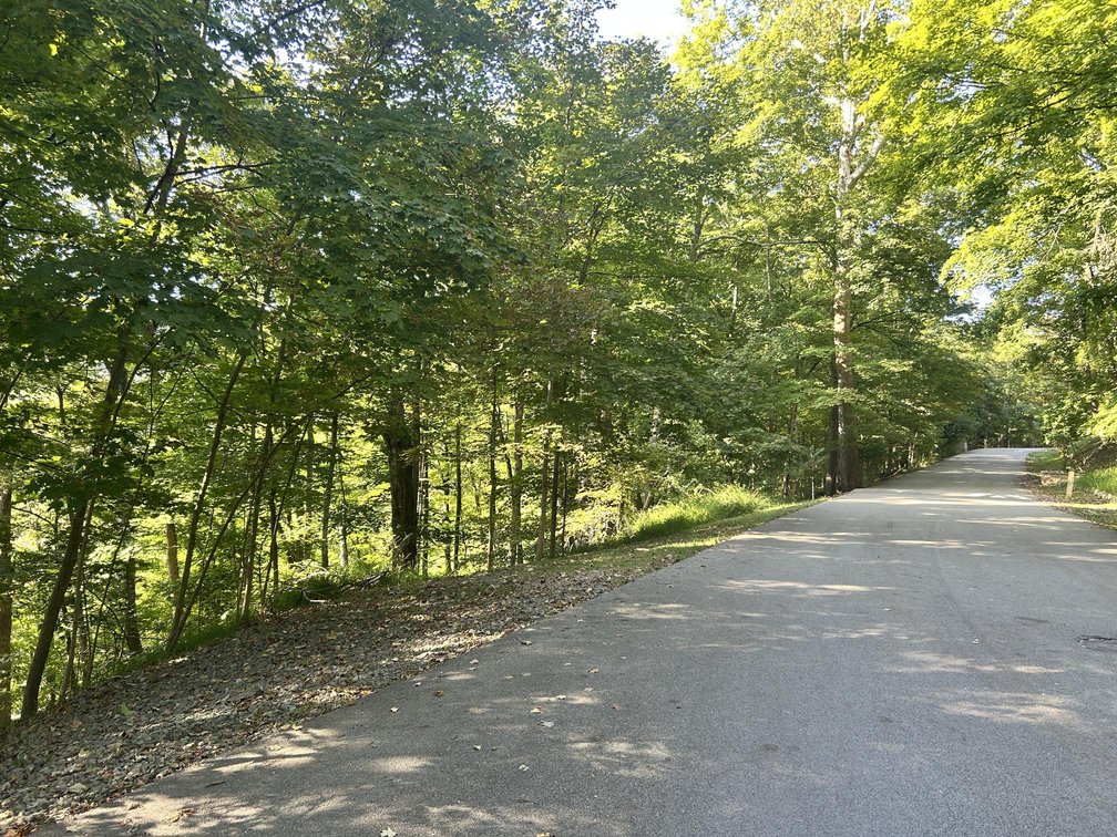 Image for 2.26 Acre Lot in the Hickory Ridge Subdivision Selling to the Highest Bidder