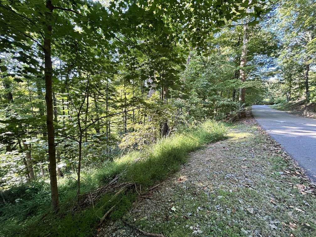 Image for 2.26 Acre Lot in the Hickory Ridge Subdivision Selling to the Highest Bidder