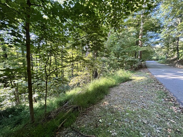 Image for 2.26 Acre Lot in the Hickory Ridge Subdivision Selling to the Highest Bidder