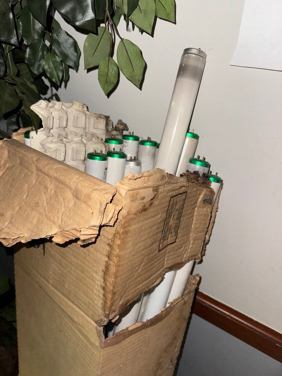 Spent Fluorescent Tube Bulbs
