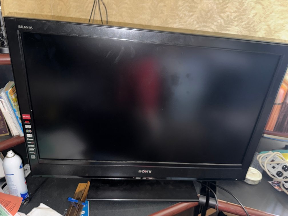 Sony Bravia Flat-Screen Television