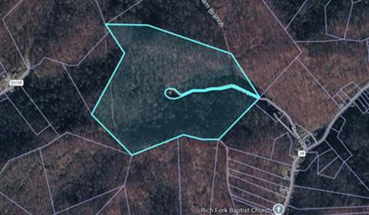 Image for 60 Acres with Mineral Interests & Timber Near Charleston