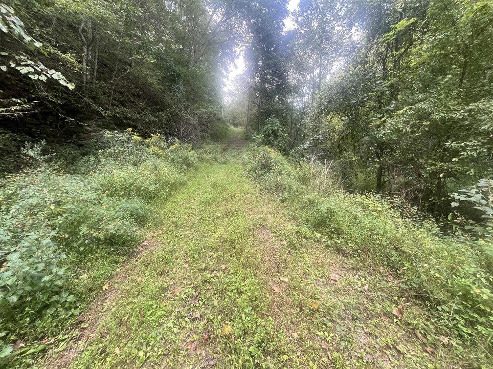 Image for 60 Acres with Mineral Interests & Timber Near Charleston