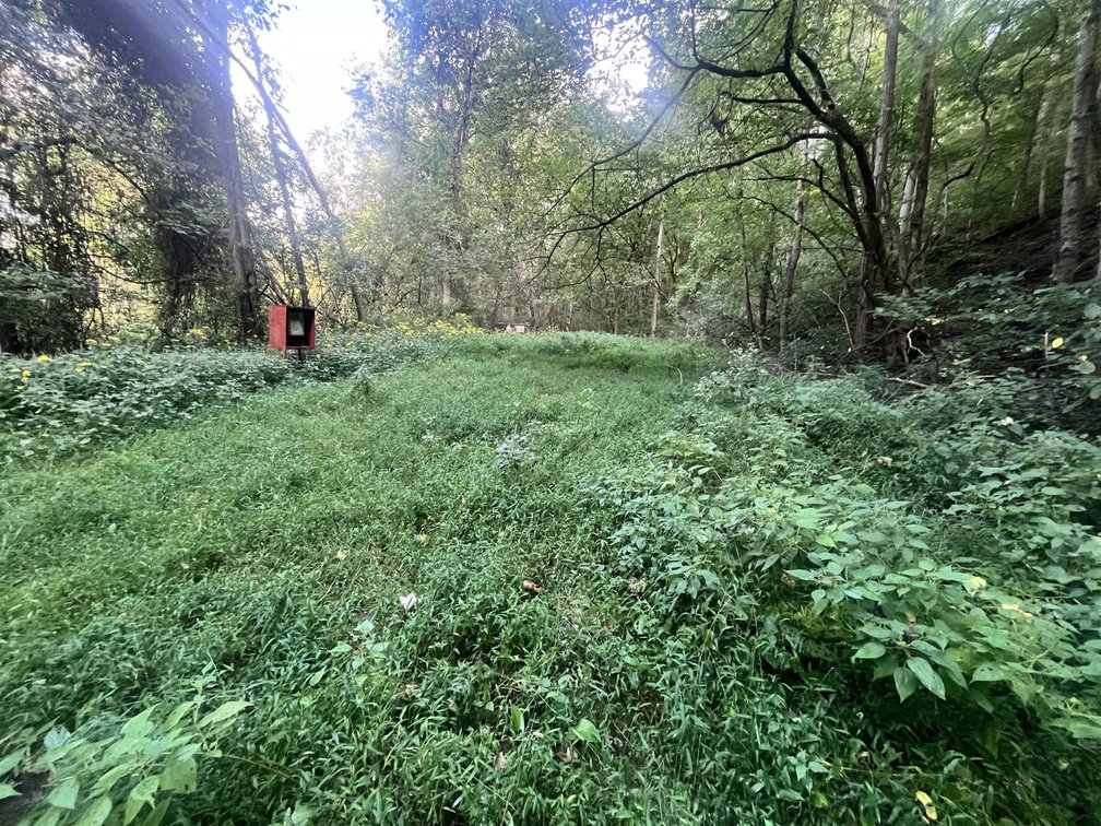 Image for 60 Acres with Mineral Interests & Timber Near Charleston