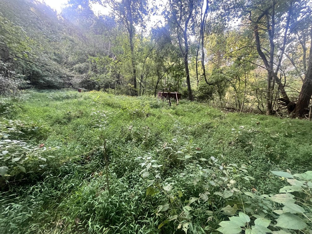 Image for 60 Acres with Mineral Interests & Timber Near Charleston