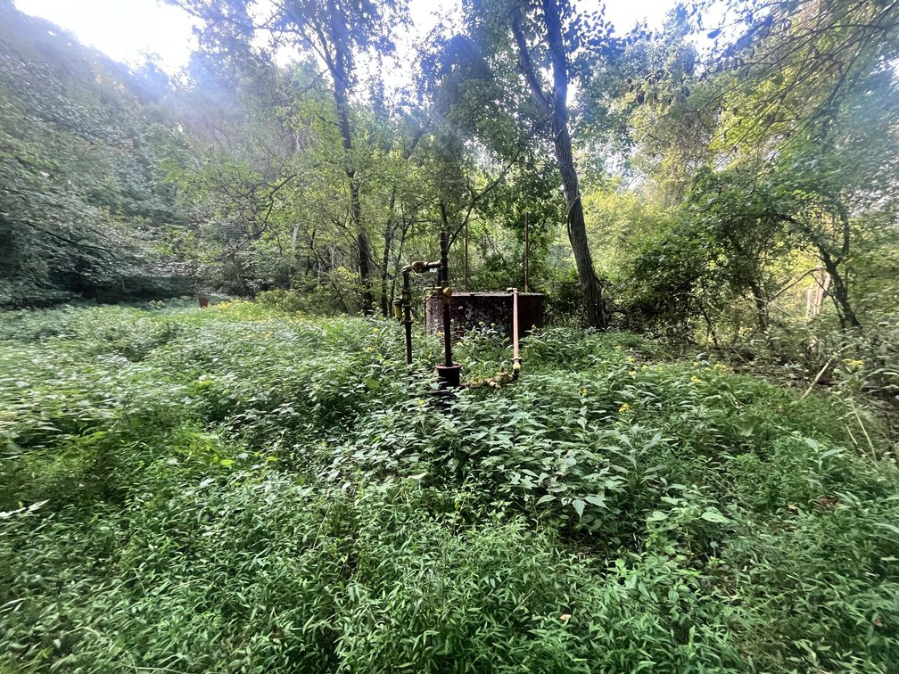 Image for 60 Acres with Mineral Interests & Timber Near Charleston