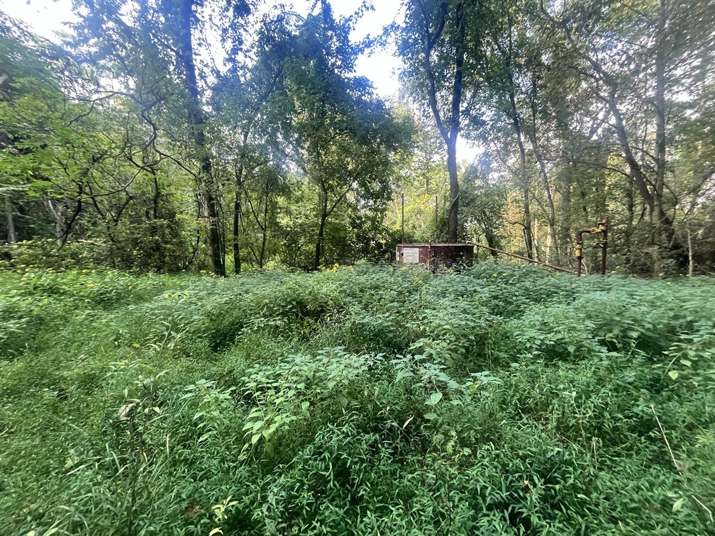 Image for 60 Acres with Mineral Interests & Timber Near Charleston