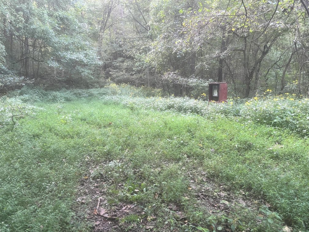 Image for 60 Acres with Mineral Interests & Timber Near Charleston