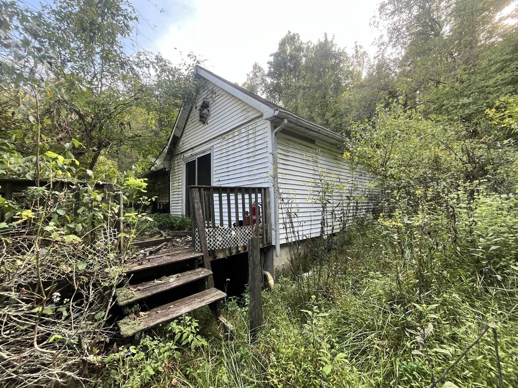 Image for 60 Acres with Mineral Interests & Timber Near Charleston
