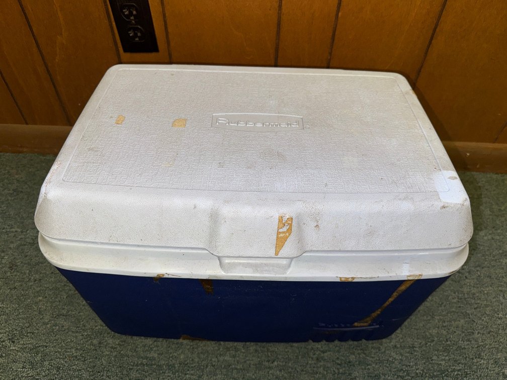 Rubbermaid insulated cooler with blue base and white lid.