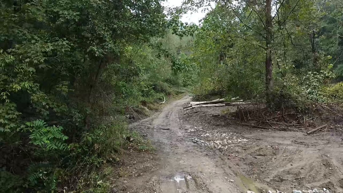Image for 83.84 Surveyed Acres in Boone County Selling to the Highest Bidder