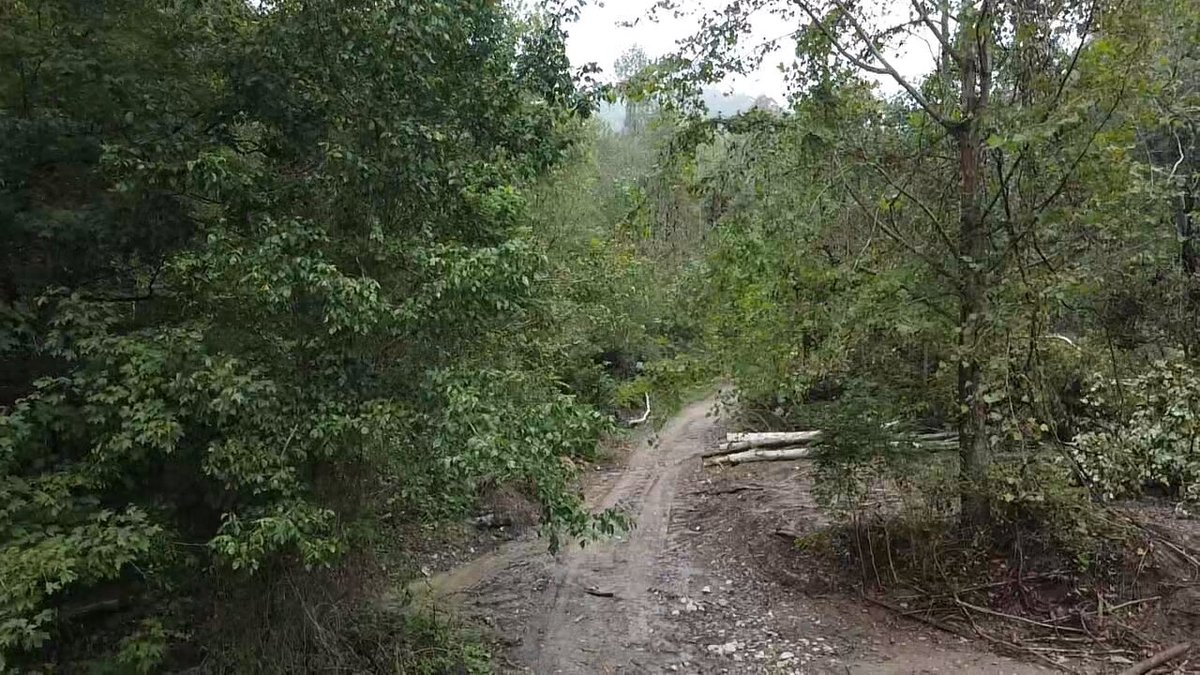 Image for 83.84 Surveyed Acres in Boone County Selling to the Highest Bidder