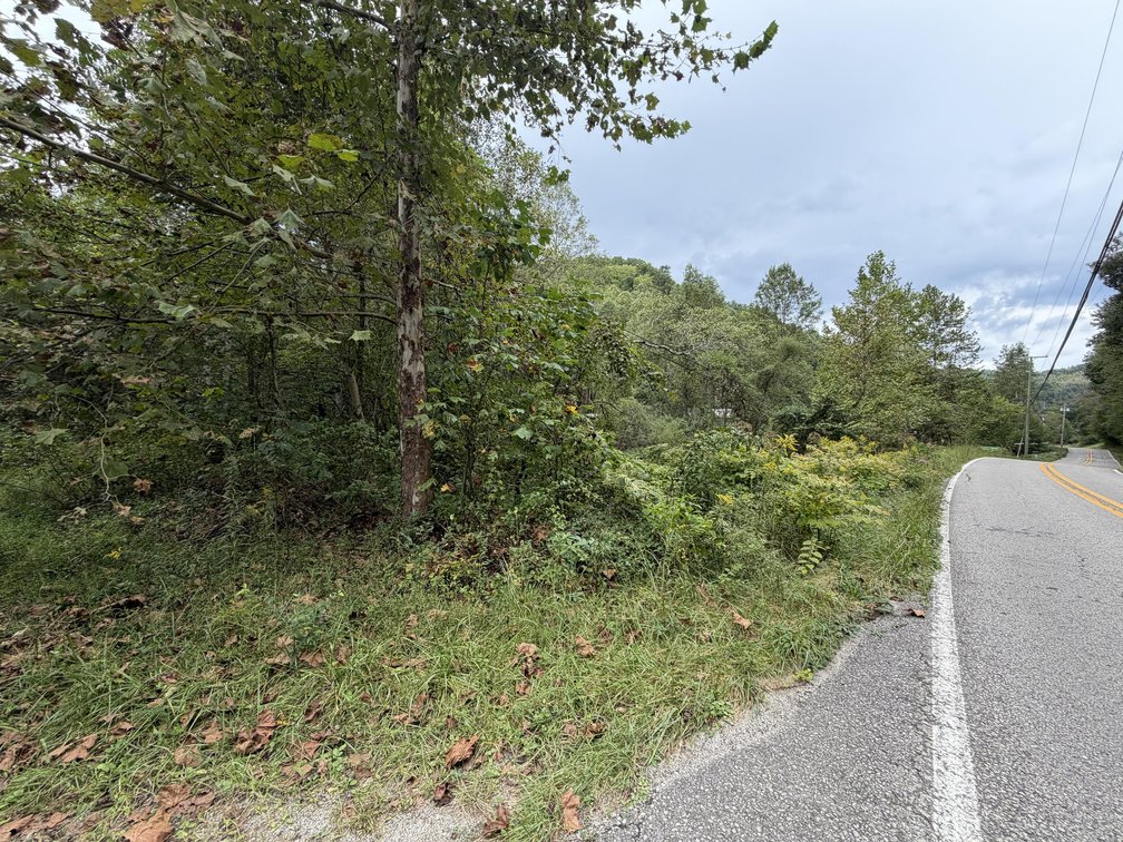 Image for 18.8 Surveyed Acres in Boone County Selling to the Highest Bidder