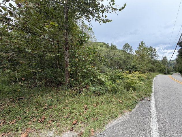 Image for 18.8 Surveyed Acres in Boone County Selling to the Highest Bidder
