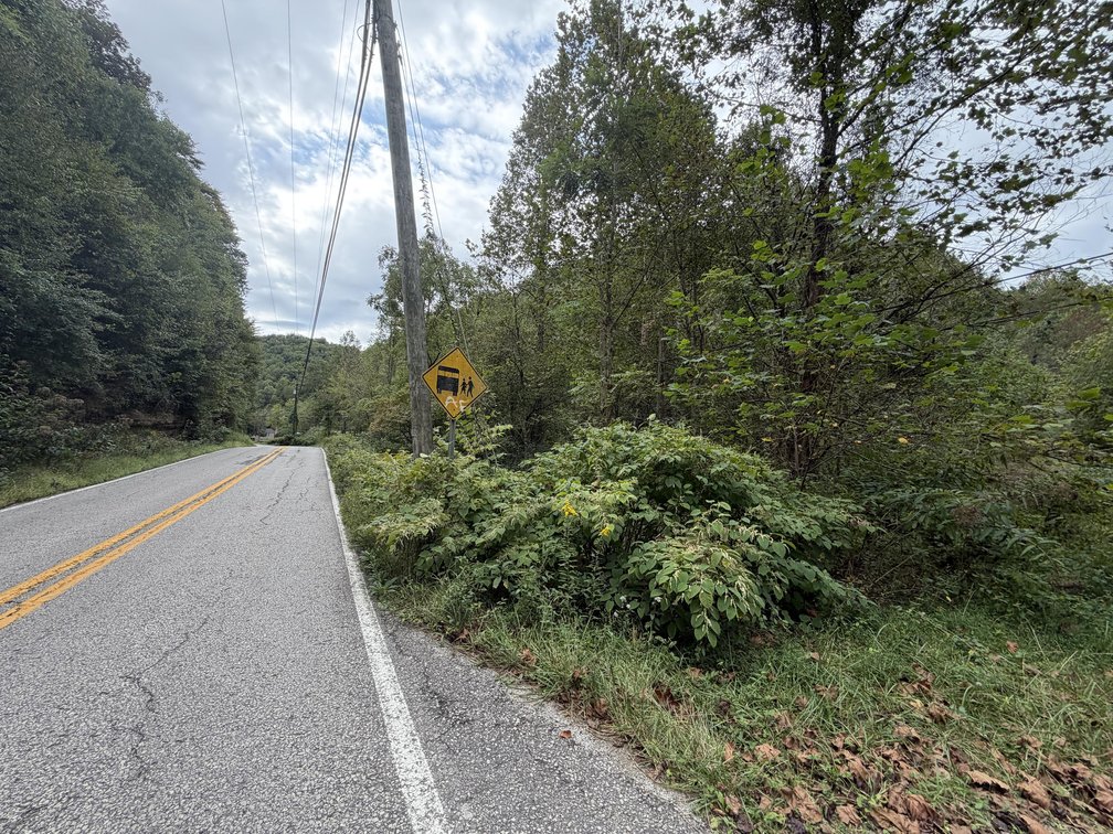 Image for 18.8 Surveyed Acres in Boone County Selling to the Highest Bidder