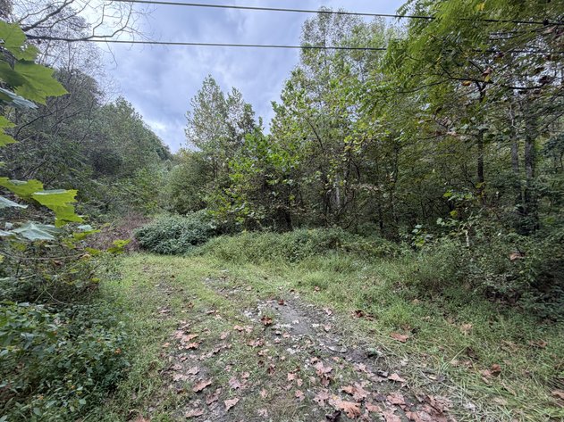 Image for 18.8 Surveyed Acres in Boone County Selling to the Highest Bidder