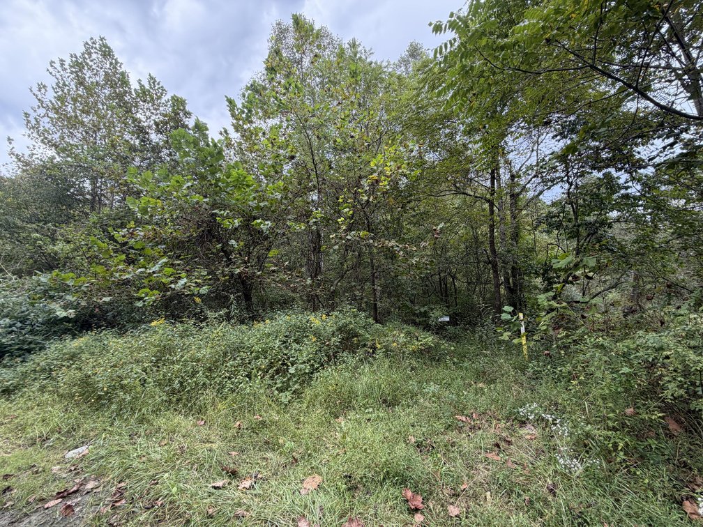 Image for 18.8 Surveyed Acres in Boone County Selling to the Highest Bidder