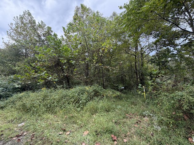 Image for 18.8 Surveyed Acres in Boone County Selling to the Highest Bidder