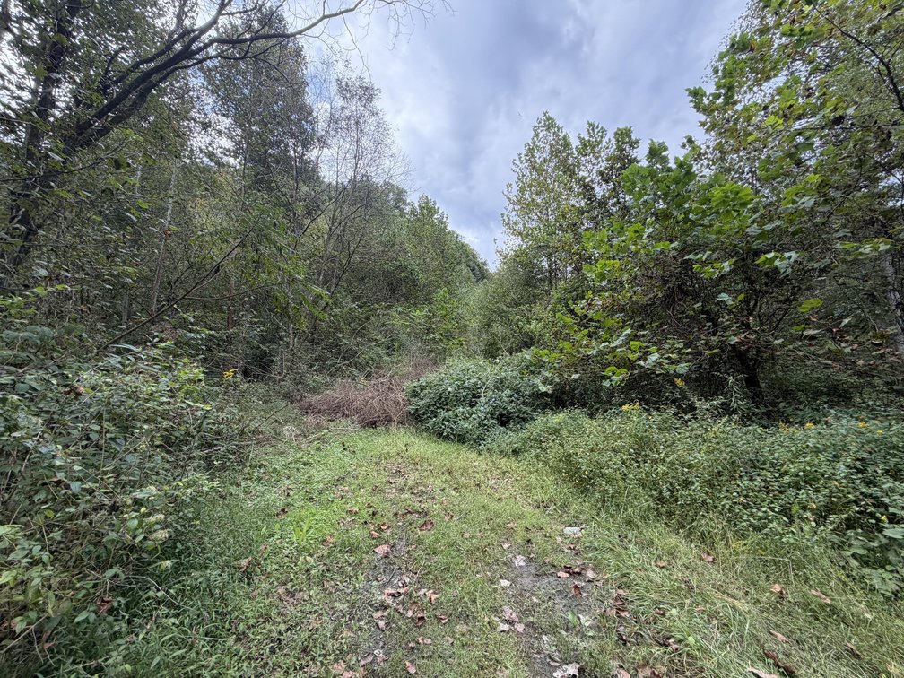 Image for 18.8 Surveyed Acres in Boone County Selling to the Highest Bidder