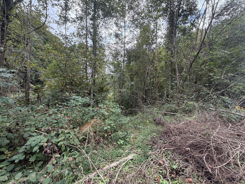 Image for 18.8 Surveyed Acres in Boone County Selling to the Highest Bidder