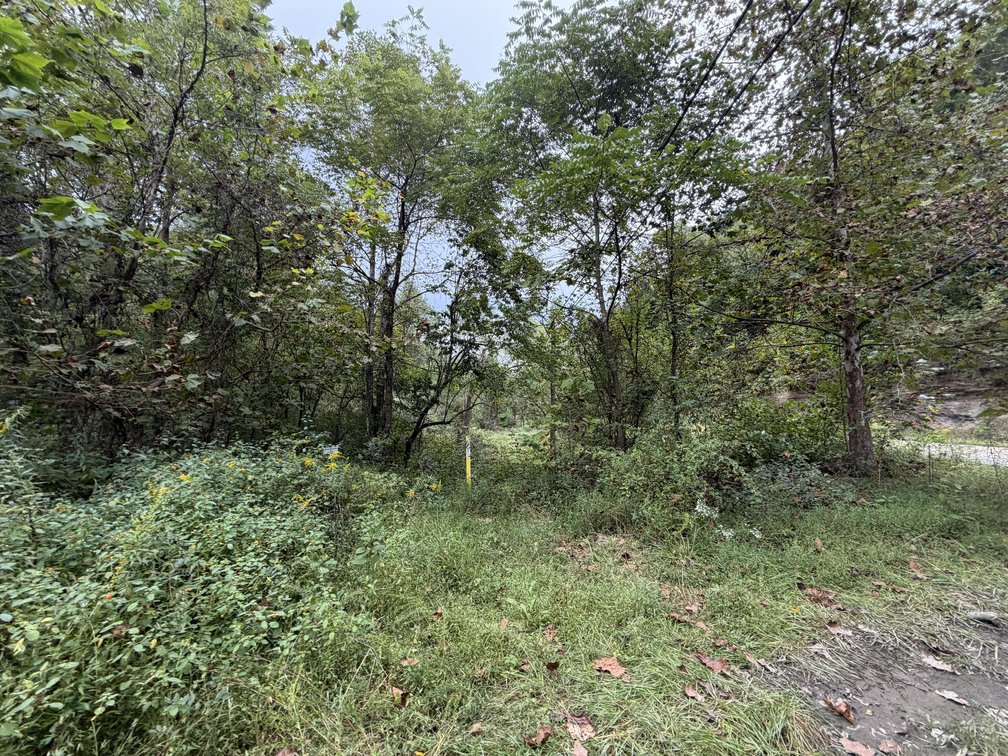 Image for 18.8 Surveyed Acres in Boone County Selling to the Highest Bidder