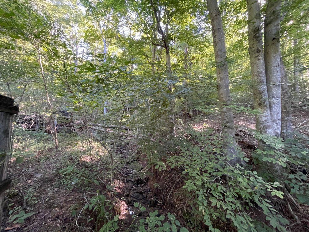Image for 3 Bedroom Manufactured Home on 1 Acre in Lincoln County