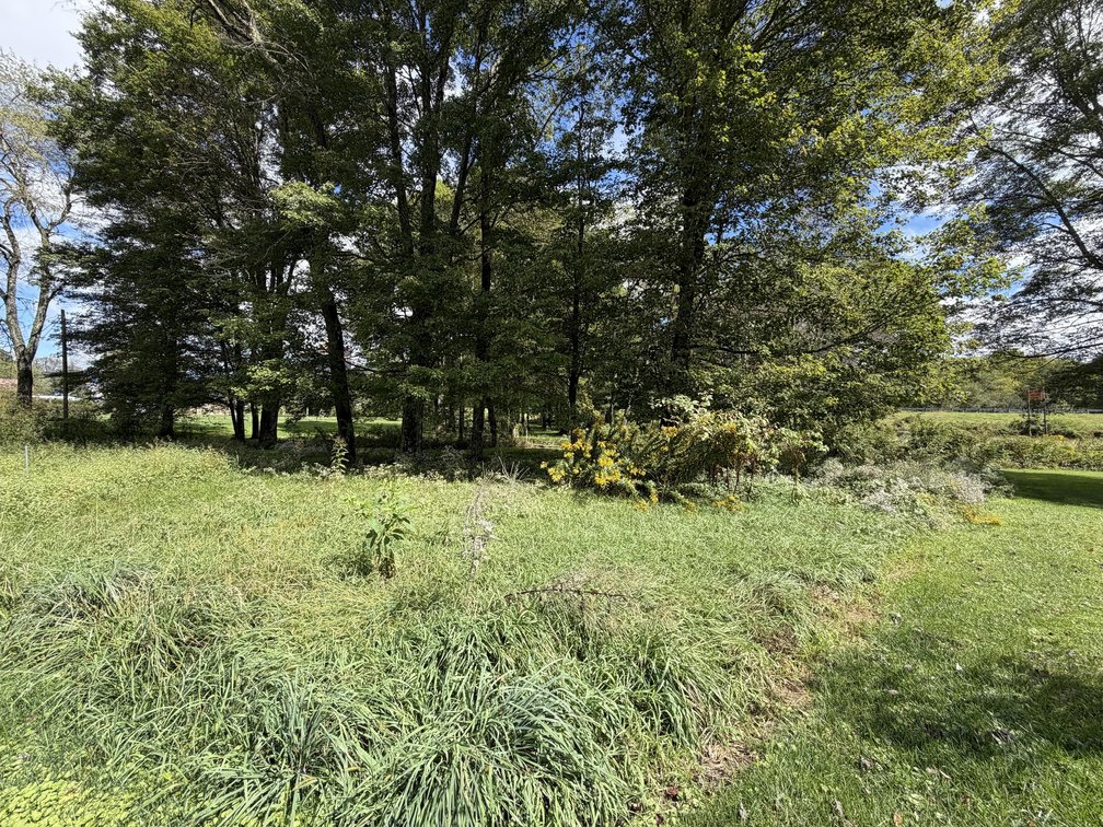 Image for 7 Prime Acres for Development Along US-19 in Summersville