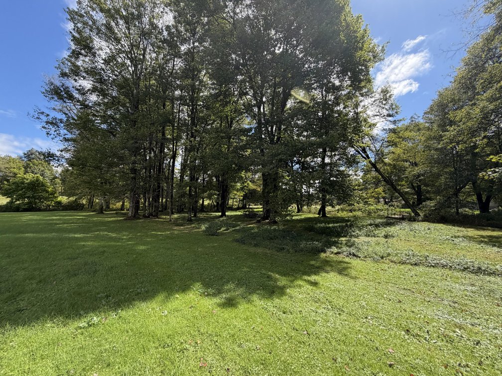 Image for 7 Prime Acres for Development Along US-19 in Summersville