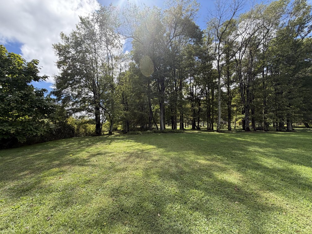 Image for 7 Prime Acres for Development Along US-19 in Summersville