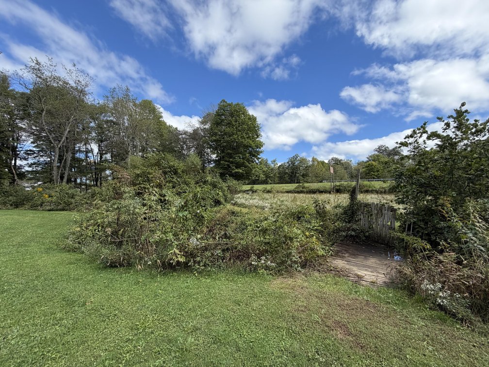 Image for 7 Prime Acres for Development Along US-19 in Summersville