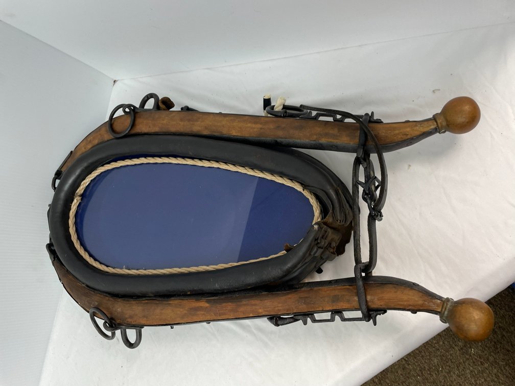 Horse collar picture frame-blue background
