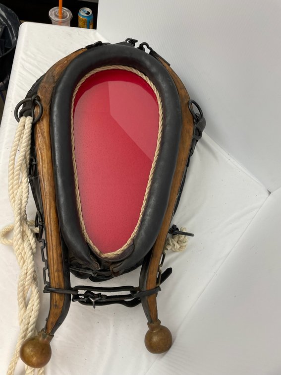 Horse collar picture frame-red background