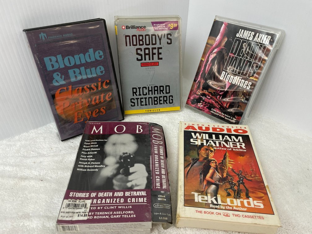 Audio cassette books
