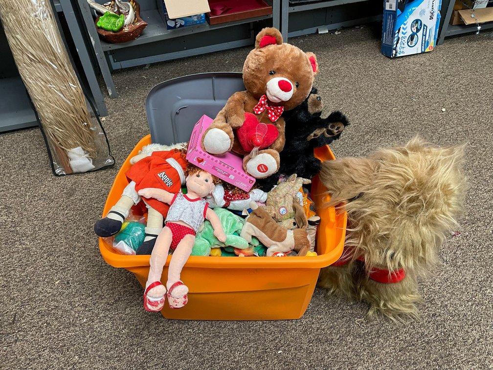 Collection of stuffies