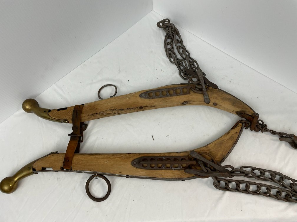 Horse color hames with chain and brass tips